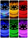 ILV - MANGUERA SMD5050 CON DRIVER RGB 5MT