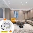 TSH- DOWNLIGHT COB 12W CW F128/F110 90-277 V