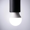 AKS- FOCO LED A19 15W LUZ BLANCA, CAJA COLOR