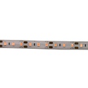 LAL-TIRA LED 120l/m 12V 5m LUZ ROSA