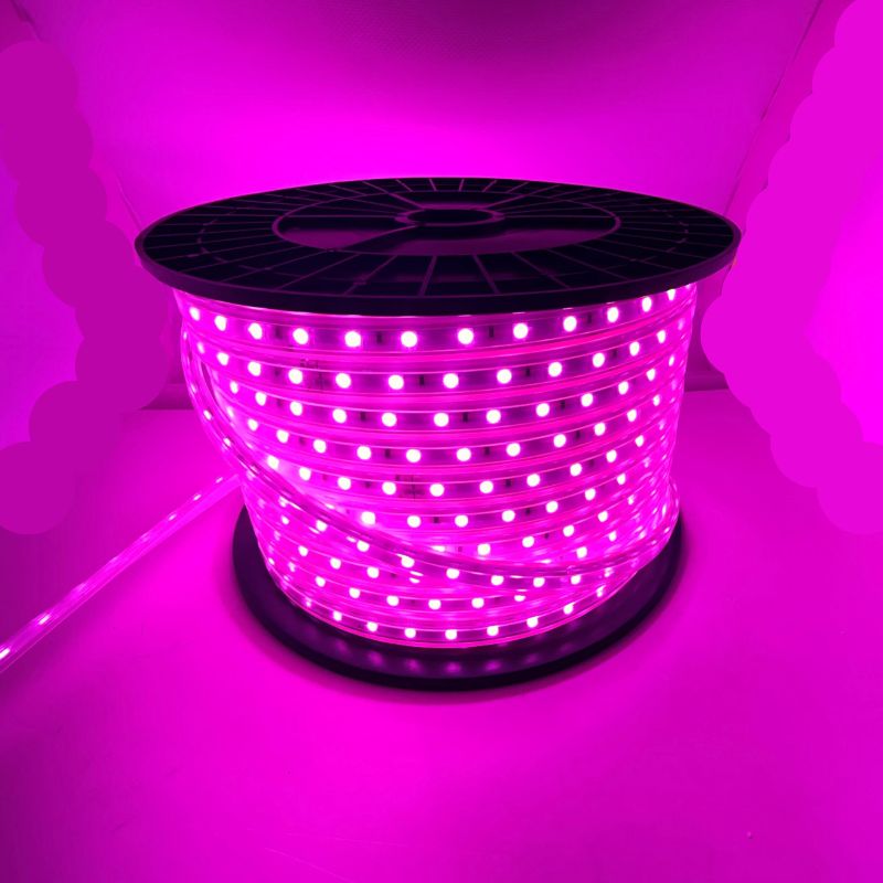 ILV - Manguera LED SMD5050 350w 50m ROSA