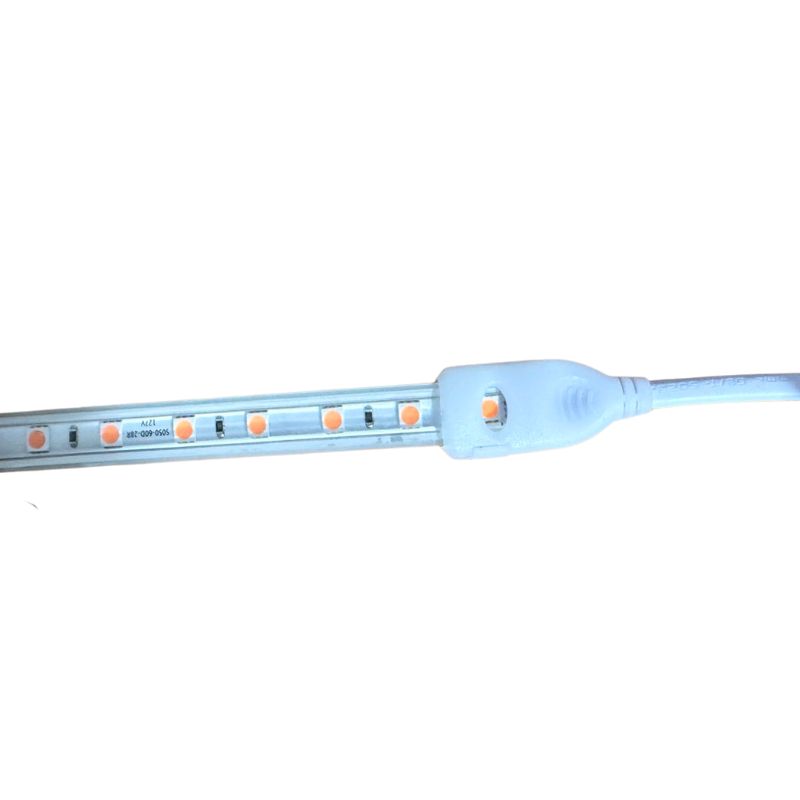 ILV - Manguera LED SMD5050 350w 50m ROSA