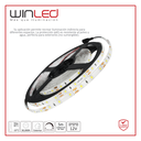 WIN- TIRA 300 LEDS 2835 5M 24W EXTERIOR AZUL