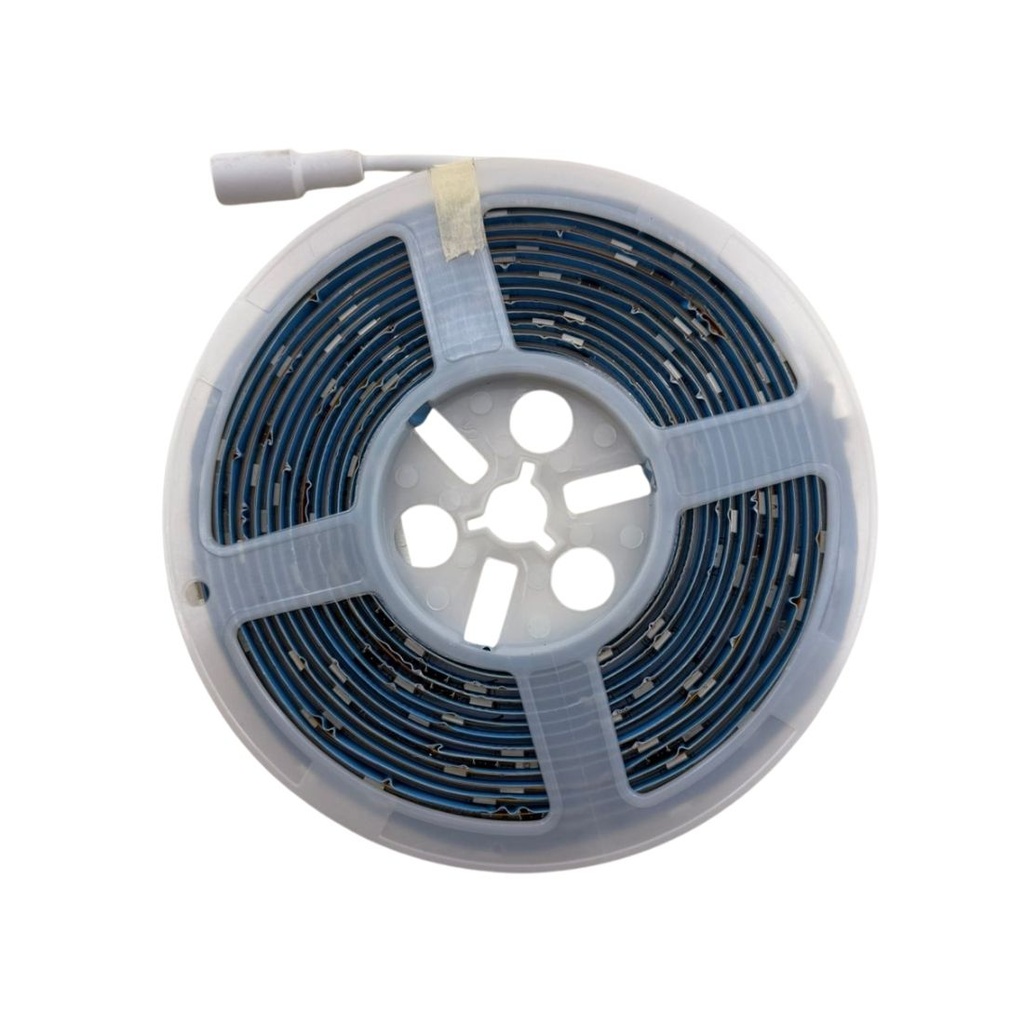 GX- TIRA LED RGB 24L/M 5M 5050 RAYO 12V