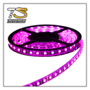 [CFL60IP65PK5050] TSH- TIRA LED 60 LM IP65 ROSA 5050-3 1M