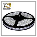 TSH- TIRA LED 60 LM IP65 CW BLANCO FRÍO 5050-1 SENC BF