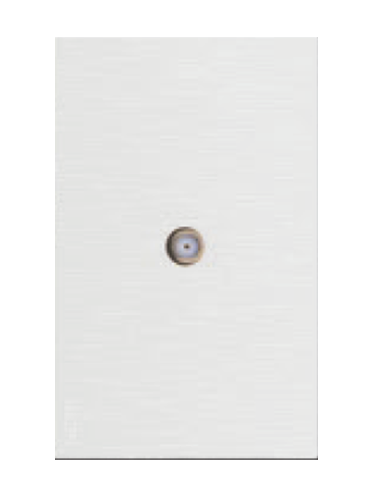 LCK - PLACA CON TOMA DE TELEVISION FLAT BLANCA