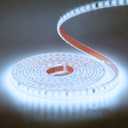 ILV- 50m MANGUERA C/ ADHESIVO 2835 LUZ FRIA C/ 3 CONECTORES y CLIPS