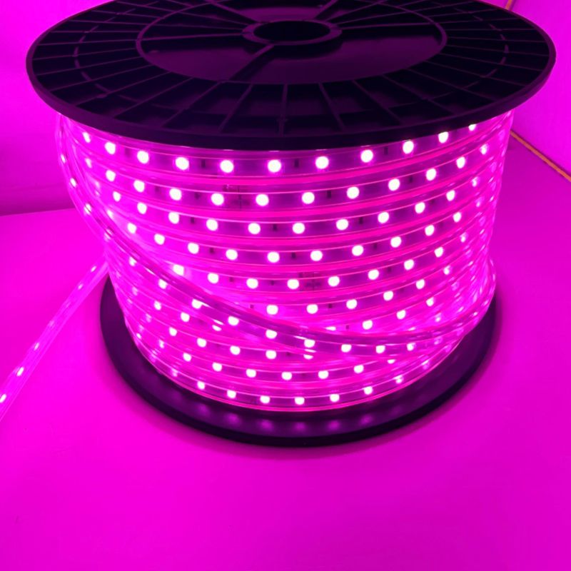 ILV - 50m Manguera LED SMD5050 350w ROSA c/3 CLAVIJAS Y CLIPS