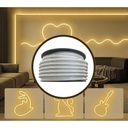 GX- TIRA NEON 2da GEN 12V 120L/M 1M 6MM BLANCA CALIDA