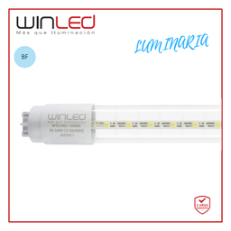 [WTU-003] WIN- TUBO LED VIDRIO 1.2M 18W TRANSPARENTE BF